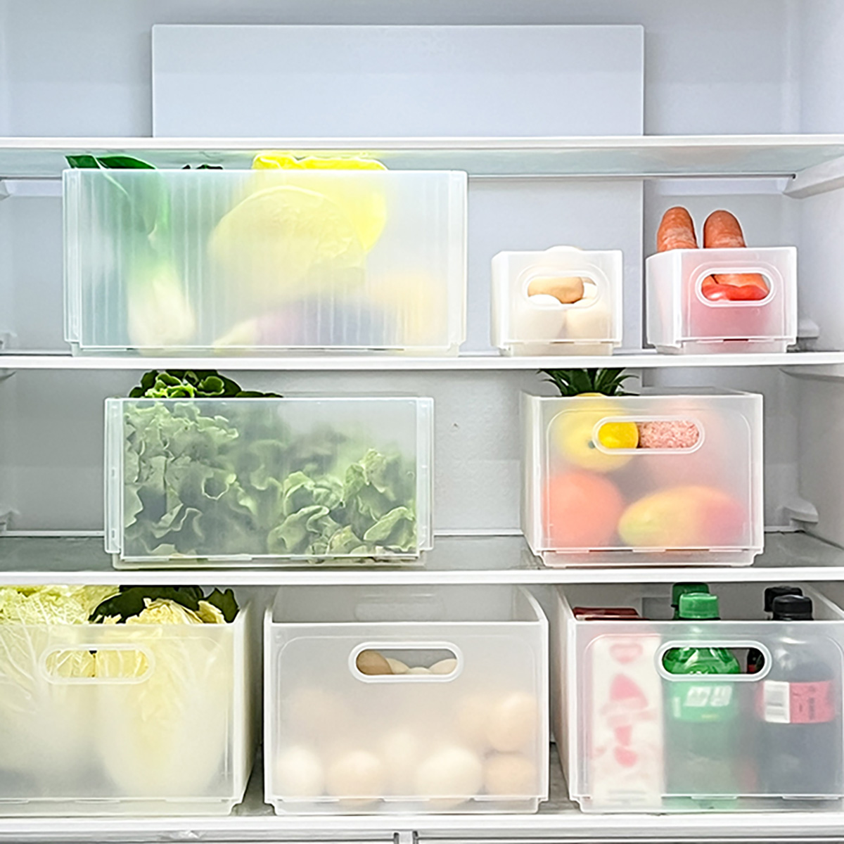صندوق تخزين الثلاجة البلاستيكي - مراجعة Food Storage With Dividers وسعره