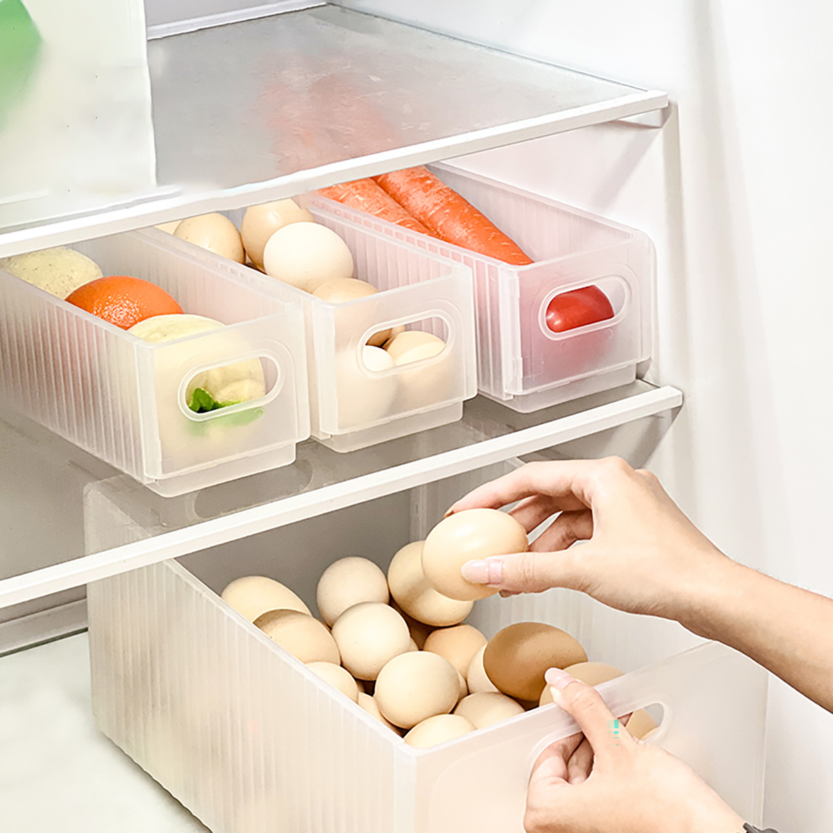 صندوق تخزين الثلاجة البلاستيكي - مراجعة Food Storage With Dividers وسعره