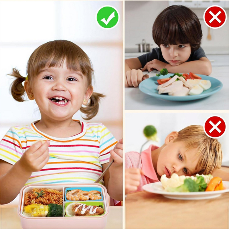 8 قطع من فواصل علب الغداء السي - مراجعة Food Storage Heat وسعره